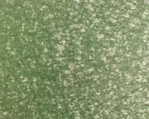 نمط متجمد لون الفولاذ المغلفة لفائف الصلب